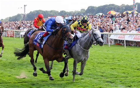 2023 Sky Bet Ebor Handicap at York: the runners, the odds, the .